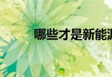 哪些才是新能源汽车龙头股票（）