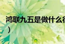 鸿联九五是做什么行业（鸿联九五是做什么的）