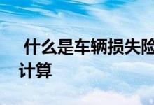  什么是车辆损失险车辆损失险保险金额怎么计算 