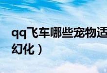 qq飞车哪些宠物适合竞速（qq飞车哪些宠物幻化）