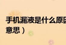 手机漏液是什么原因引起的（手机漏液是什么意思）