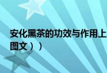 安化黑茶的功效与作用上市公司（安化黑茶的功效与作用（图文））