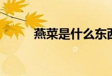 燕菜是什么东西（燕菜是什么菜）