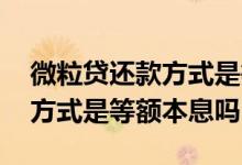 微粒贷还款方式是等额本金的吗 微粒贷还款方式是等额本息吗