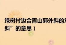 绿树村边合青山郭外斜的意思是啥（“绿树村边合,青山郭外斜”的意思）