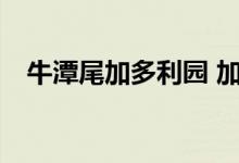  牛潭尾加多利园 加推第2张价单共推16幢 