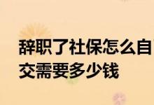 辞职了社保怎么自己交社保 辞职了社保自己交需要多少钱 