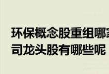 环保概念股重组哪家强 2021中国环保上市公司龙头股有哪些呢