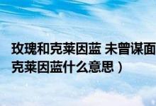 玫瑰和克莱因蓝 未曾谋面的也终将会相遇什么意思（玫瑰和克莱因蓝什么意思）