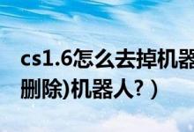 cs1.6怎么去掉机器人（请问CS1.6如何添加(删除)机器人?）