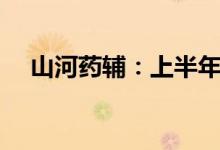 山河药辅：上半年净利同比增长24.21%