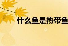 什么鱼是热带鱼（什么鱼是石首鱼）