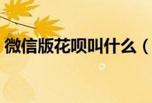 微信版花呗叫什么（微信花呗什么时候上线）