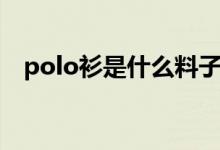 polo衫是什么料子（polo衫是什么意思）