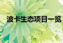 波卡生态项目一览 如何鉴别波卡生态项目