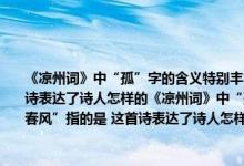 《凉州词》中“孤”字的含义特别丰富你认为它有什么含义（诗中“春风”指的是 这首诗表达了诗人怎样的《凉州词》中“孤”字的含义特别丰富你认为它有什么含义 诗中“春风”指的是 这首诗表达了诗人怎样的感情）