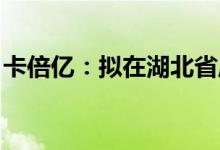 卡倍亿：拟在湖北省麻城市投资汽车线缆项目