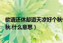 欲语还休却道天凉好个秋什么意思（欲说还休却道天凉好个秋.什么意思）