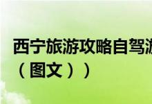 西宁旅游攻略自驾游最佳路线（西宁旅游攻略（图文））