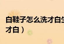 白鞋子怎么洗才白生活小妙招（白鞋子怎么洗才白）