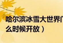 哈尔滨冰雪大世界门票多少钱（冰雪大世界什么时候开放）