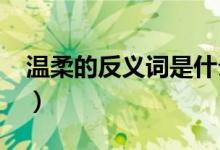 温柔的反义词是什么（温柔的反义词是什么?）