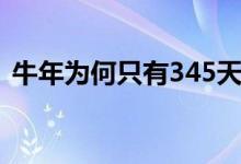 牛年为何只有345天（牛年为何只有354天）