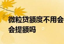微粒贷额度不用会不会消失 微粒贷额度不用会提额吗
