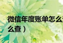 微信年度账单怎么查2021（微信年度账单怎么查）