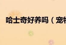 哈士奇好养吗（宠物狗哈士奇多少钱一只）