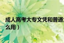 成人高考大专文凭和普通大专文凭（成人高考大专文凭没什么用）