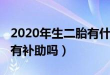 2020年生二胎有什么补助吗（2020年生二胎有补助吗）
