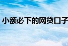 小额必下的网贷口子（网贷大额口子有哪些）