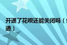 开通了花呗还能关闭吗（蚂蚁花呗被关闭了还能不能重新开通）