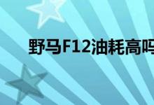  野马F12油耗高吗真实车主是这样说的 