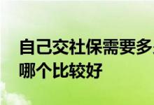 自己交社保需要多少钱 社保代缴和灵活就业哪个比较好 