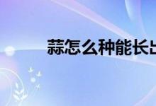 蒜怎么种能长出蒜头（蒜怎么种）