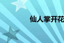 仙人掌开花（是什么原因）