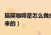 猫屎咖啡是怎么做成的（猫屎咖啡是怎么做出来的）