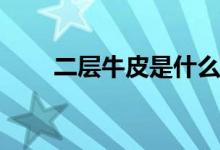 二层牛皮是什么意思（ECN是什么）