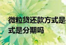 微粒贷还款方式是等额本息吗 微粒贷还款方式是分期吗