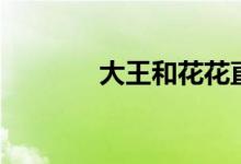 大王和花花直播（大王理财）