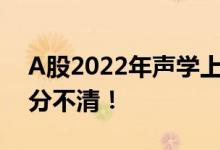 A股2022年声学上市龙头企业一览别在傻傻分不清！