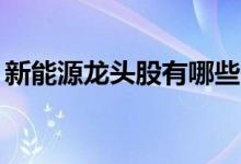 新能源龙头股有哪些? 新能源股票龙头有哪些