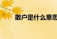 散户是什么意思呢 散户是什么意思
