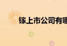 镓上市公司有哪些镓上市公司名单