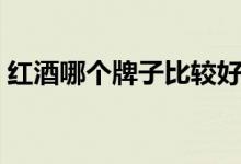红酒哪个牌子比较好（红酒什么牌子比较好）