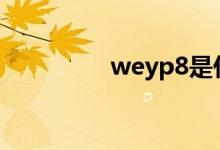  weyp8是什么级别的suv 