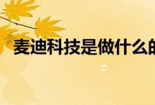 麦迪科技是做什么的（其主营业务是什么）