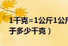 1千克=1公斤1公斤等于多少克（丨1公斤等于多少千克）